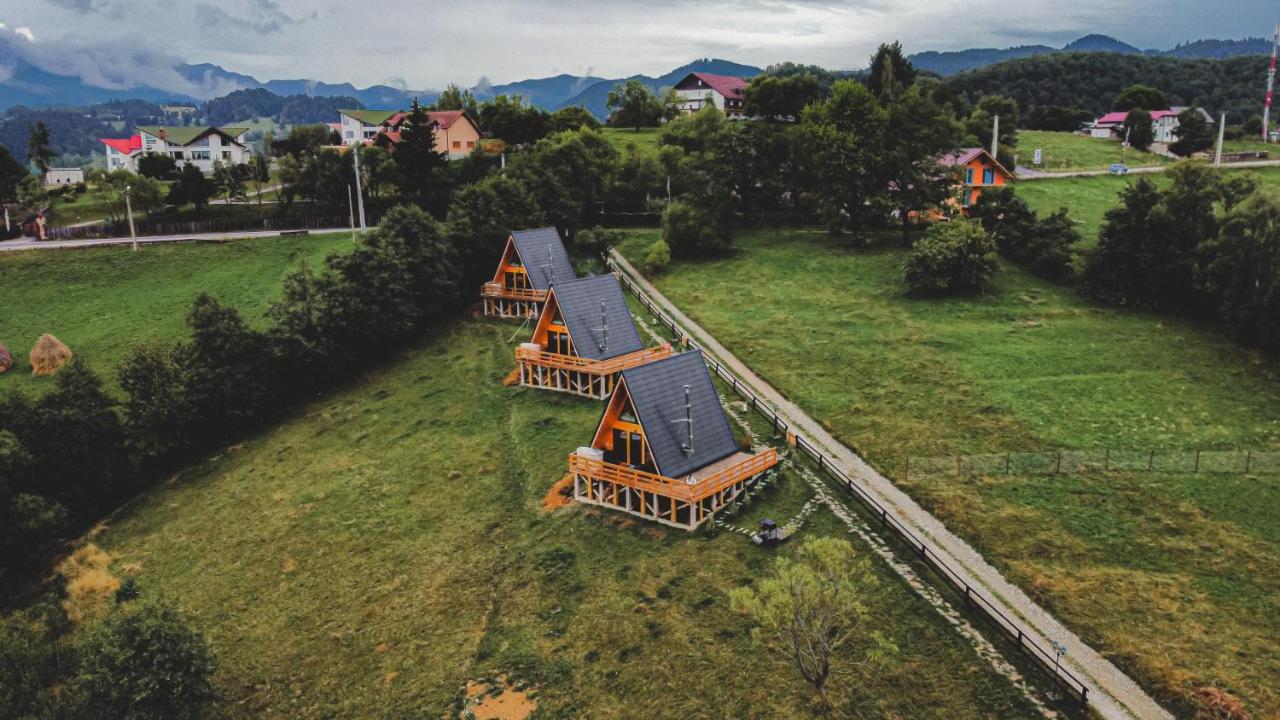 Cabana 365 Braşov Exterior foto
