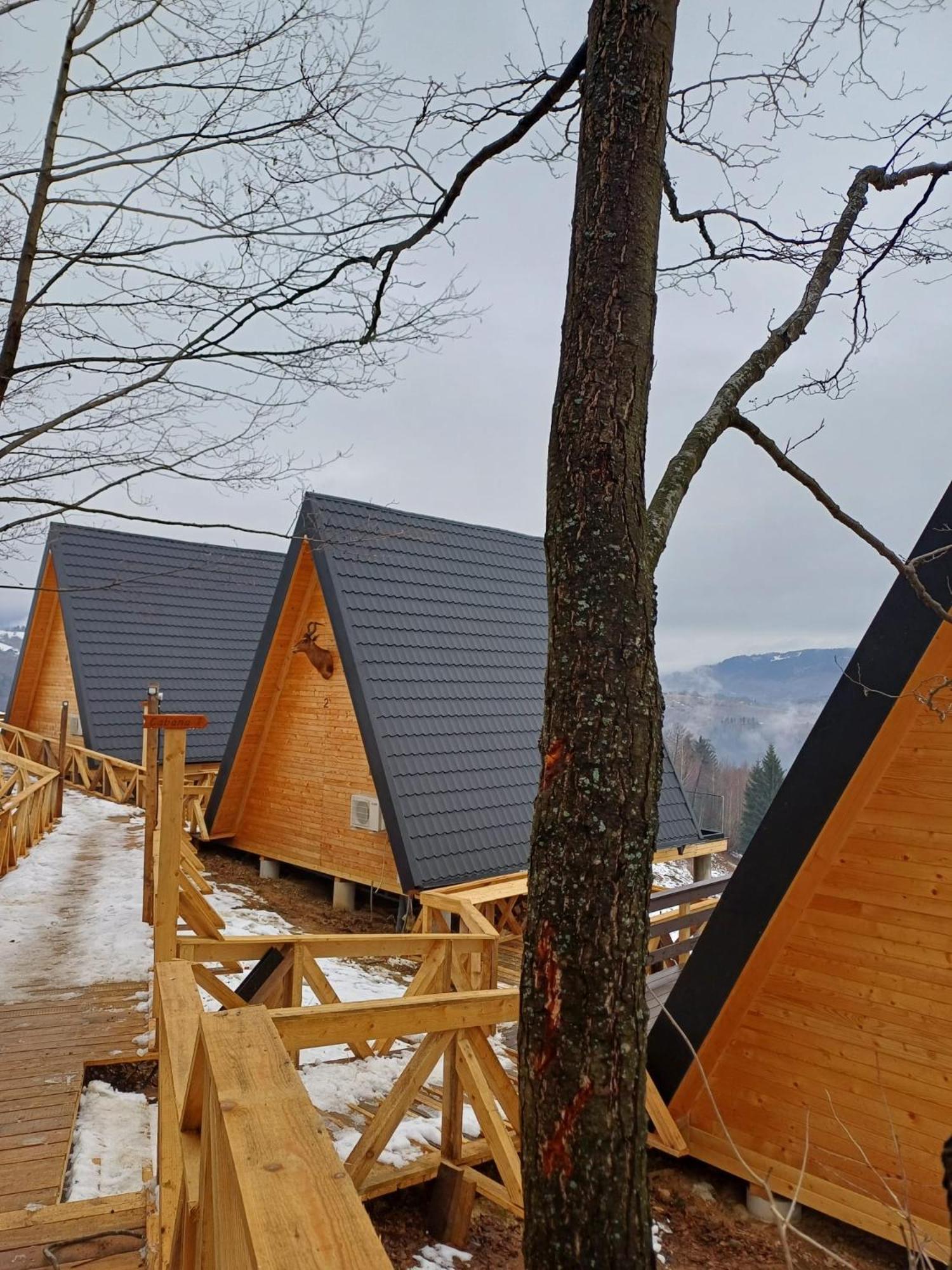Cabana 365 Braşov Exterior foto